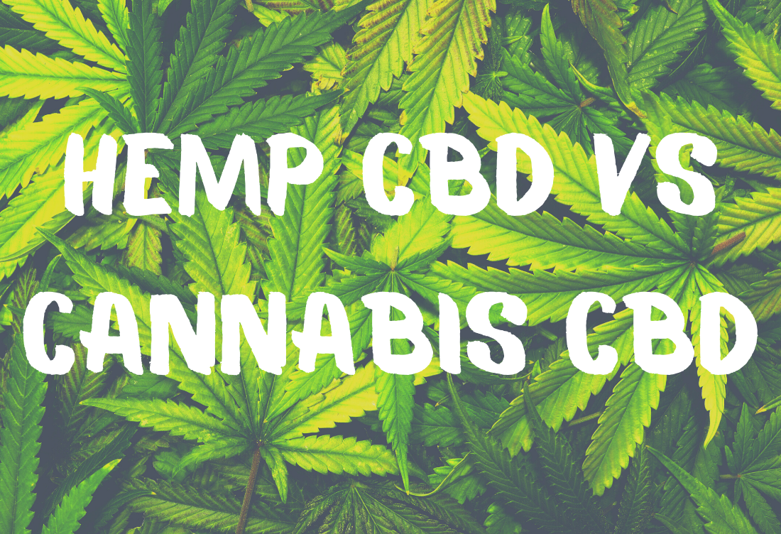 What's The Difference: Hemp CBD Vs. Cannabis CBD – Nenas Organics